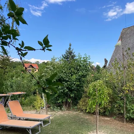 Zozi&andy 아파트 발라톤케네세